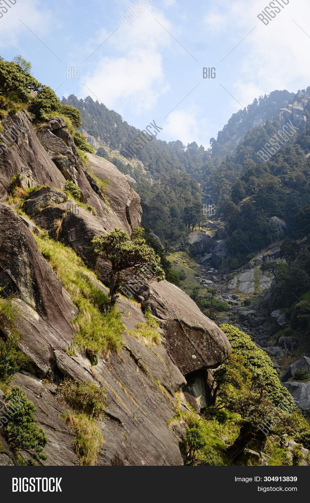 Image Failed to Load